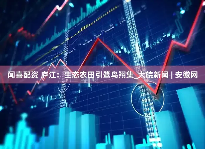 闻喜配资 庐江：生态农田引鹭鸟翔集_大皖新闻 | 安徽网