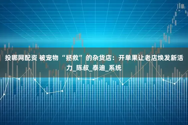 投哪网配资 被宠物 “拯救” 的杂货店：开单果让老店焕发新活力_陈叔_泰迪_系统